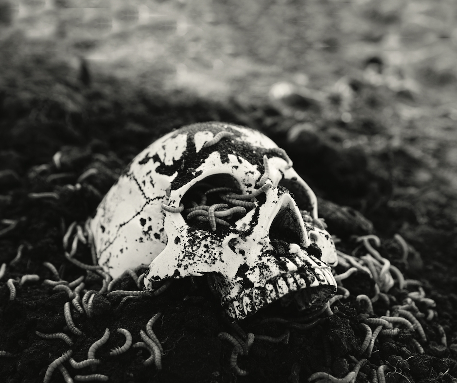 Human,Skull,In,The,Soil,Black,And,White,Closeup